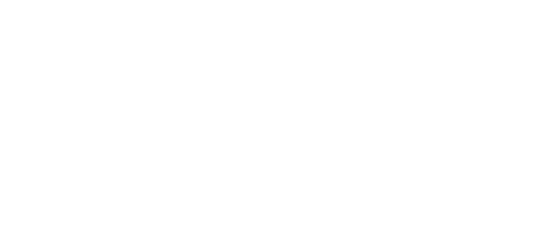 Logo: Açaí Palace Hotel